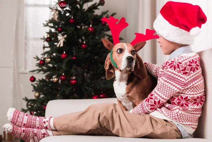 Quanto gastar no presente de natal? Quanto gastar no presente de natal?