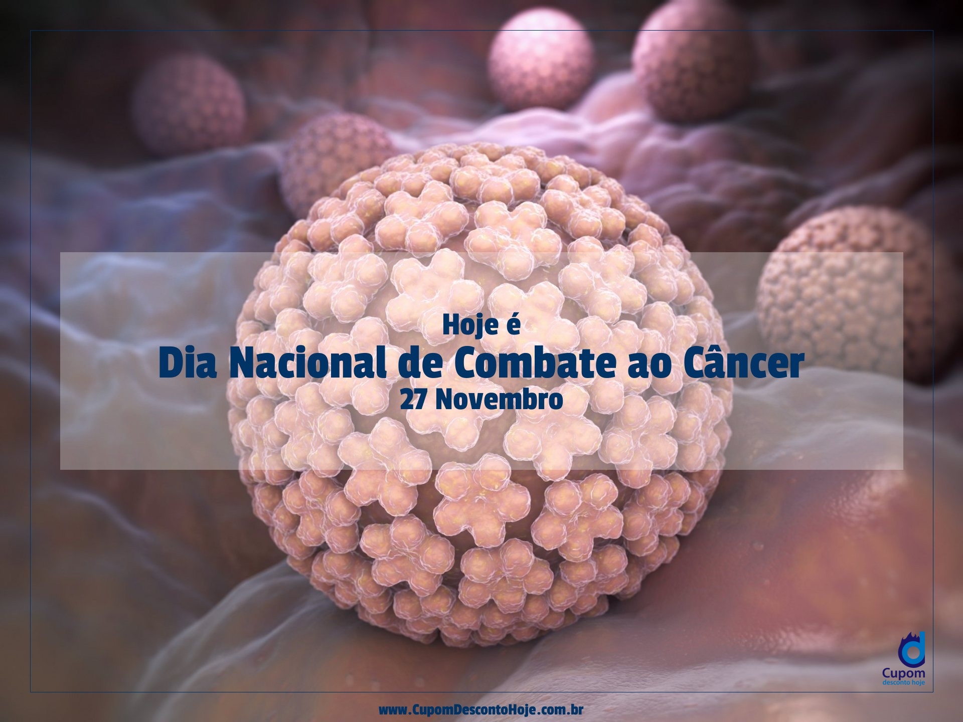  Hoje é 27 novembro Dia Nacional de Combate ao Câncer
