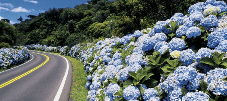 cupom desconto hoje na loja Hotel em Gramado Canela e Serra Gaúcha Confira