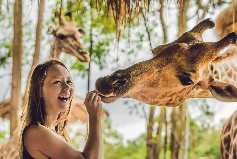 Cupom Desconto Ingresso para o Zoológico de Miami