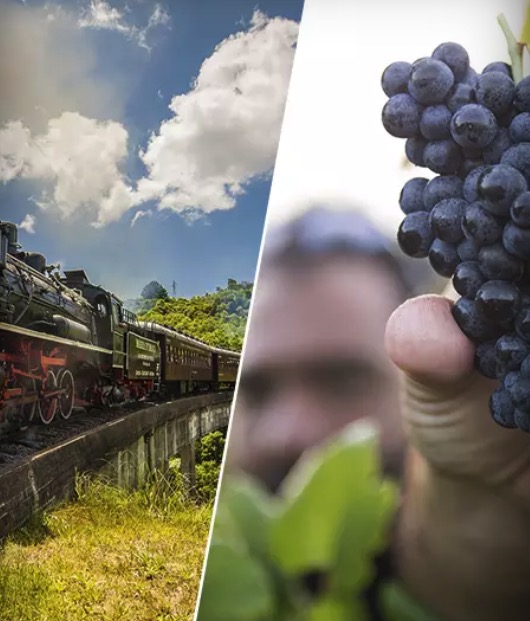 Cupom Desconto Tour Uva e Vinho  Ingresso Epopeia Trem Maria Fumaça